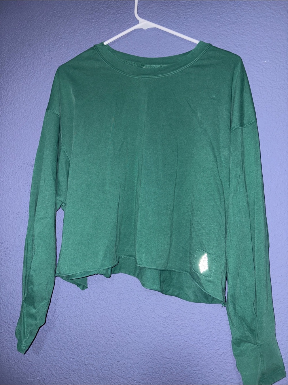 Free People Green Cropped Long-Sleeve Pullover